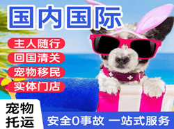 建三江湿地机场空运国际宠物托运 【国